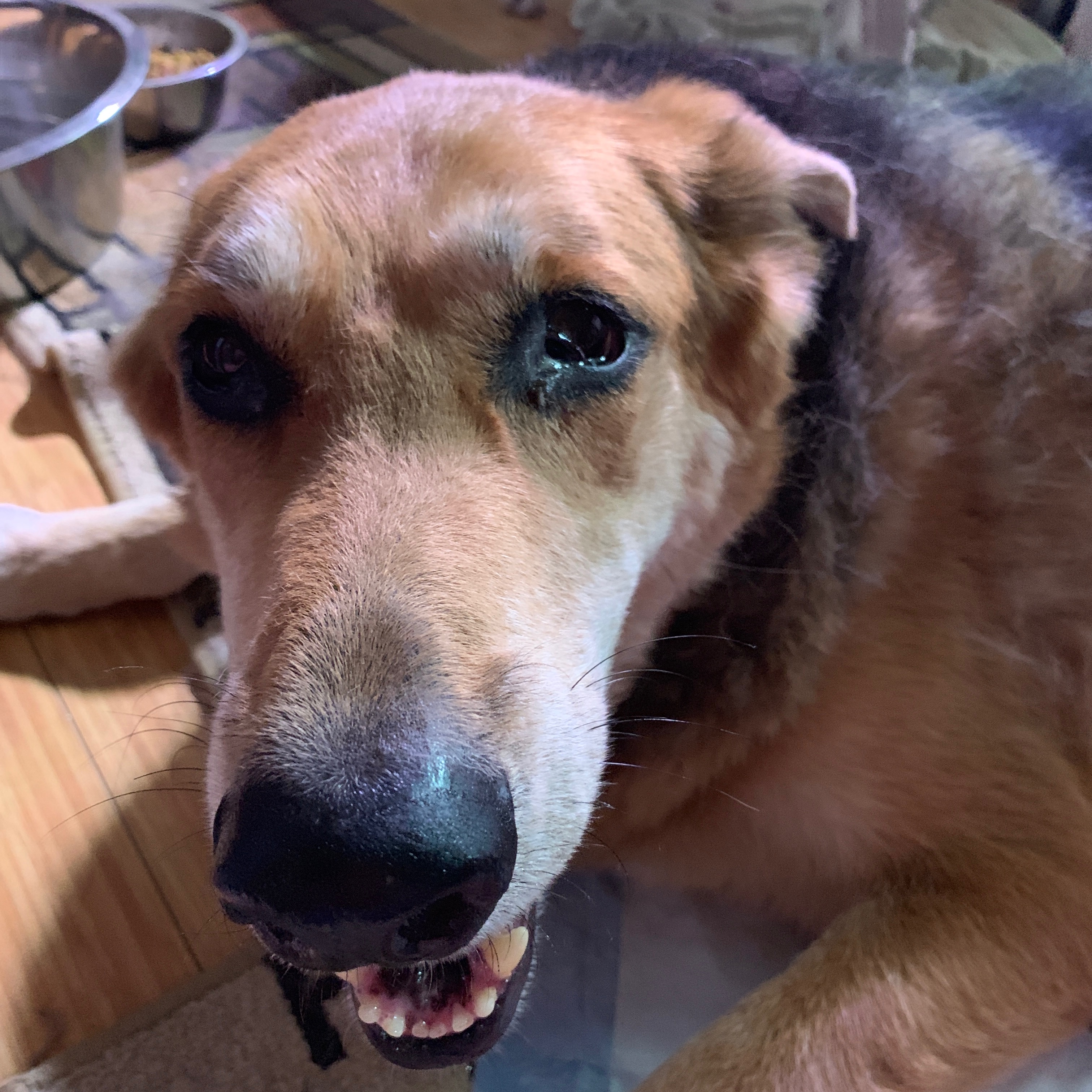 Simon, June 25, 2019.